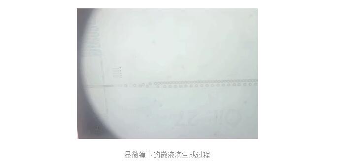 單細胞研究|如何通過(guò)液滴微流控獲取單細胞個(gè)體